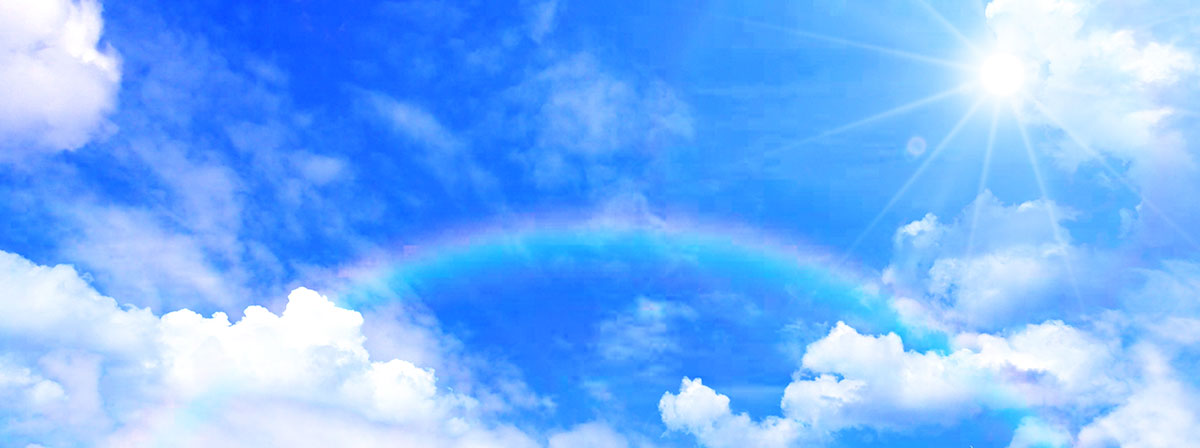 保険代理店の皆様へ